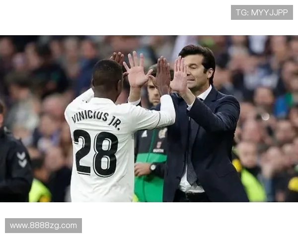 阿韦洛亚反对针对维尼修斯种歧