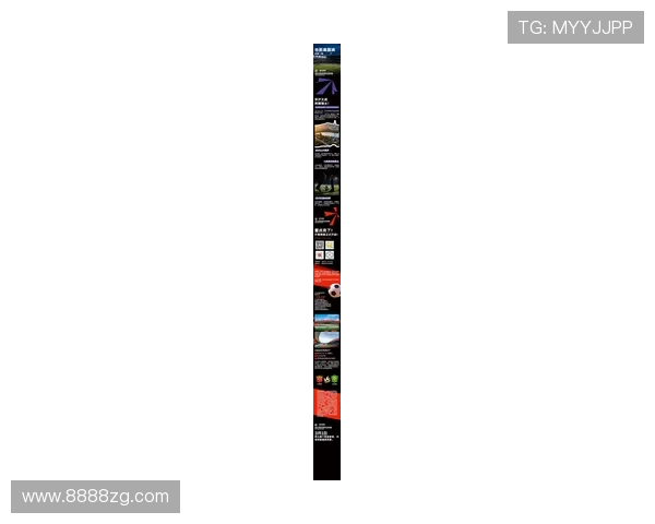 阿足协称门票售罄 实则空位较多